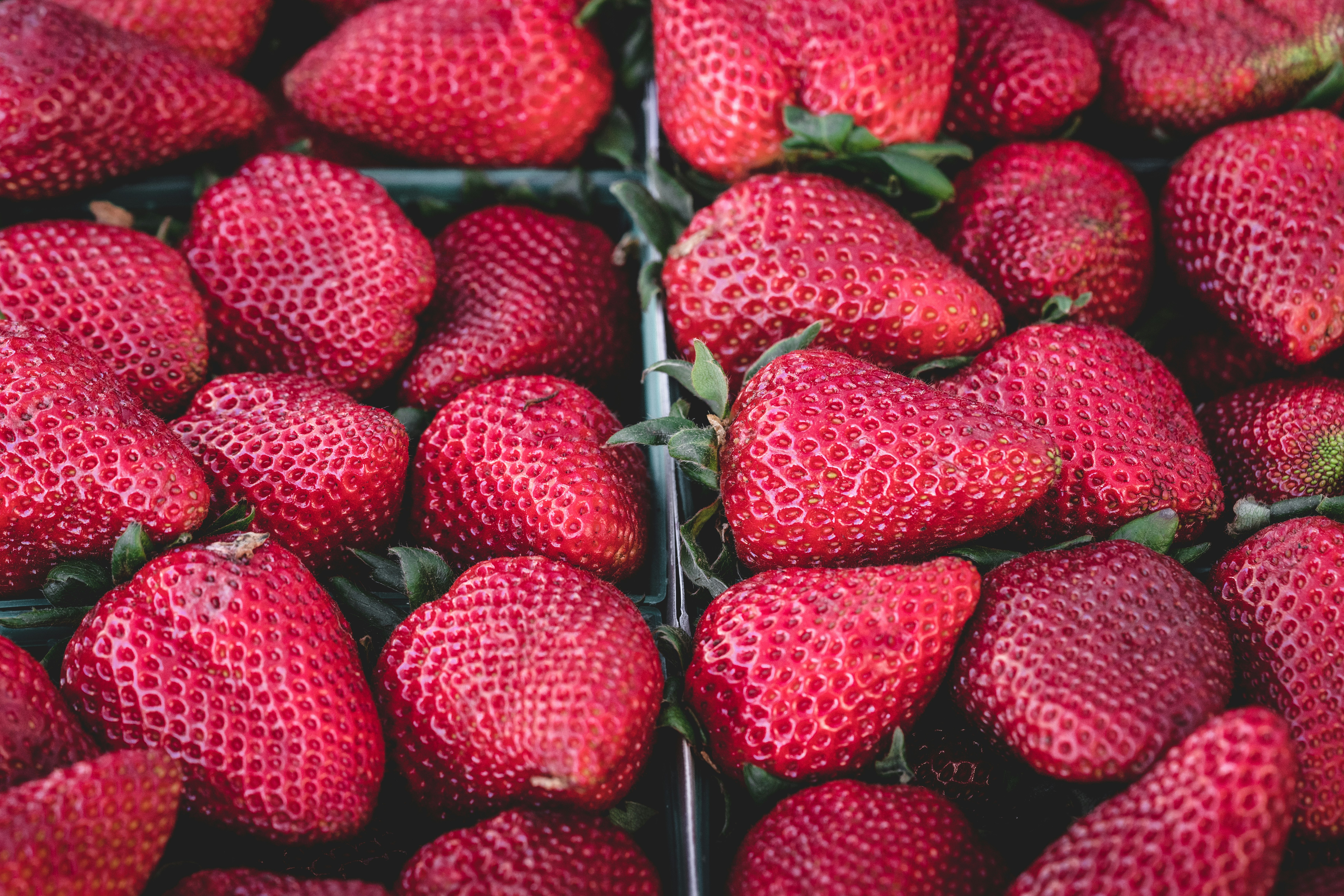 red strawberry fruits